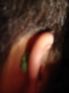 DSC02575.JPG