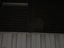 DSC02595.JPG