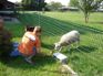 DSC02385.JPG