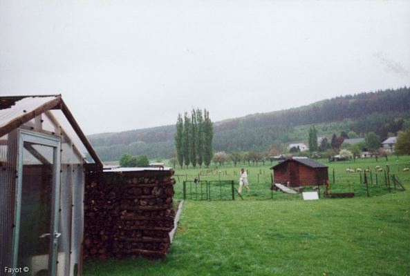 Loading Image
